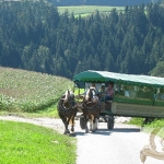 bayrischer_wald_5_20091025_1863247560